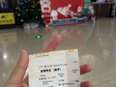 -金逸影城(武汉人信汇IMAX店)