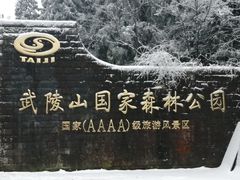 -武陵山森林公园