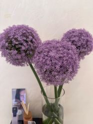 -尊尚柏丽美容SPA