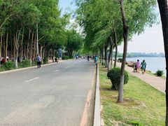 -丁香湖公园