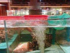 -阿伟海鲜楼·福建菜(延寿店)