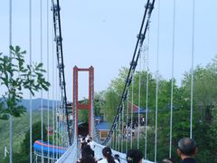 -铜川市金锁关石林