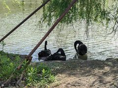 -华东政法大学(松江校区)