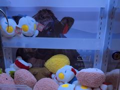 -左庭右院鲜牛肉火锅(浦江欢乐颂店)