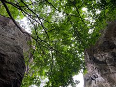-秦岭终南山世界地质公园翠华山景区