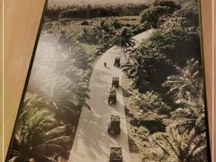 -润园四季椰子鸡火锅(南山海岸城店)