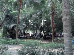 -南国桃园旅游度假区