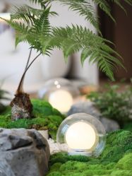 -深圳芙必优医疗美容·抗衰中心