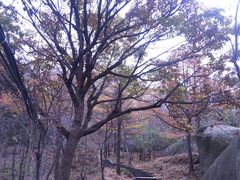 -崂山巨峰游览区
