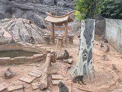 -辛玛王国游乐园