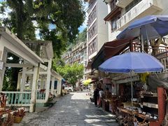-长寿村
