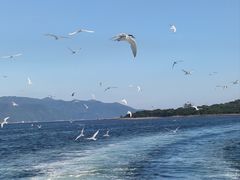 -东平洲海岸公园
