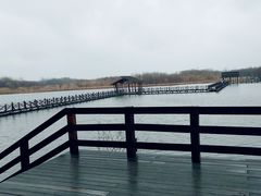 -溱湖国家湿地公园