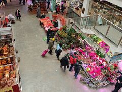 -花鸟鱼虫鲜花绿植市场(玉泉路店)