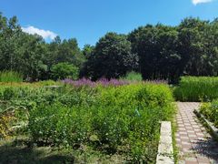 -黑龙江省森林植物园