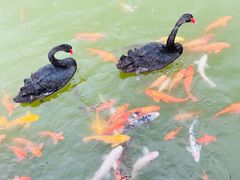 -春晖园度假酒店温泉