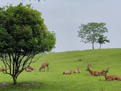 -良渚古城遗址公园