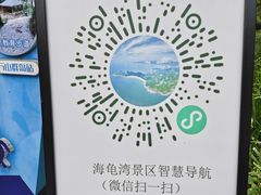 -广东惠东海龟国家级自然保护区