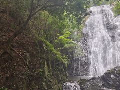 -梧桐山风景名胜区