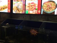 -双合园·海鲜水饺青岛菜(大尧三路店)