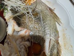 -海宝酒家(中山四路店)