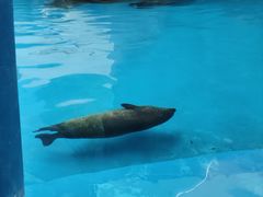 -海合安成都极地海洋公园