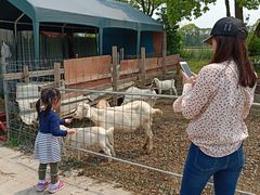 -上海长兴岛郊野公园