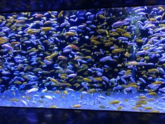 -成都浩海立方海洋公园