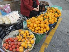 -吴记小园楼(白塔西路总店)