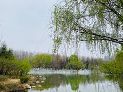 -郑州植物园