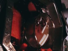 -蜀九香火锅(彩虹店)