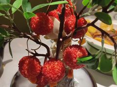 -奔跑吧陕菜·盛世长安(民乐园万达店)