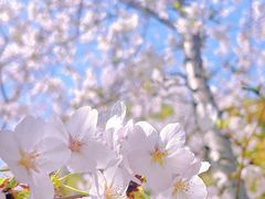 -徐家汇源景区-衡山公园