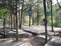 -龙洞风景区-藏龙涧