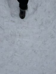 -优沃得自然教育农场·冰雪乐园·生日会·研学