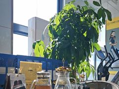 -中田·健身+普拉提(北京通州运河店)