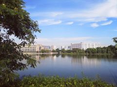 -新江湾城公园