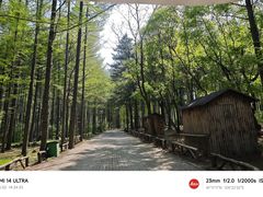 -龙道沟景区