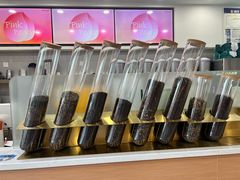 -雾与山茶(大禹城店)