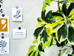 -AHAVA·Fang Baking Studio
