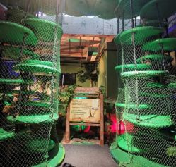 -恐龙探索乐园(磁器口店)