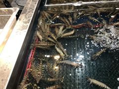 -盒马鲜生(红莲店)