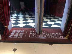 -爱丽丝冒险奇遇记