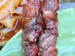 -艾力江和田馕坑烤肉店