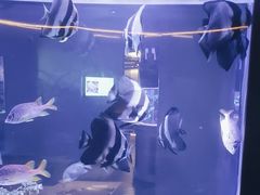 -上和臻品中国菜(花园街店)