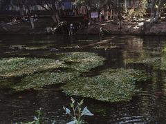 -水磨沟公园