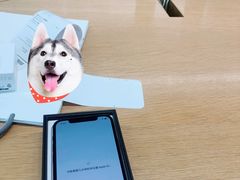 -Apple零售店(中街大悦城店)