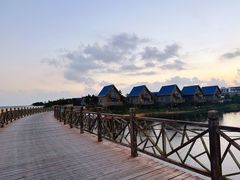 -阳光海岸露营公园