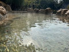 -崇阳三特浪口温泉