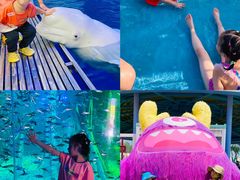 -秦皇岛乐岛海洋王国